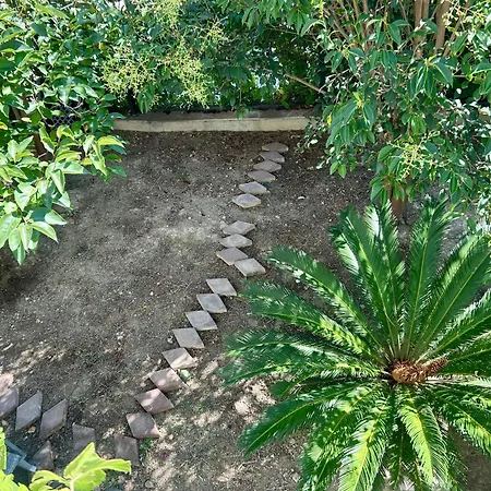 Lägenhet Summertime