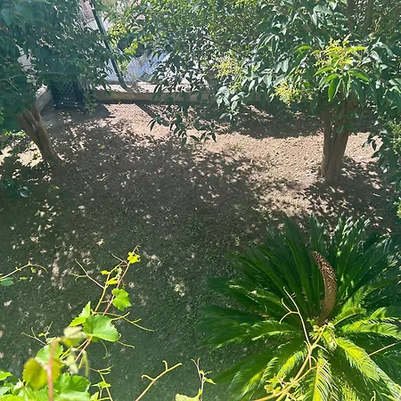 Summertime Apartment Split
