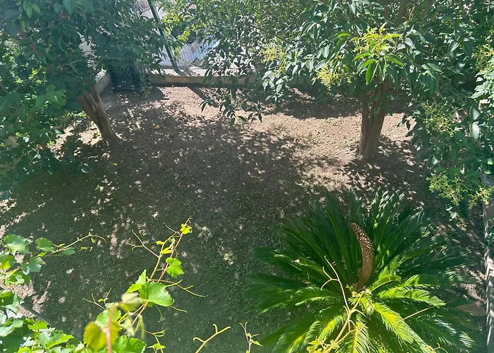 Summertime Apartment Split